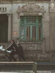 The Hardships of a D