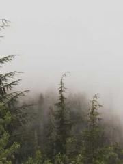 Bones-Eating Marriag Bones-Eating Marriag