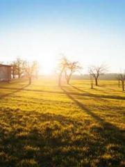 lt;Liang Yimo Cold N