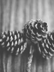 Unbound by any rules