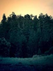 Becoming a solitary 