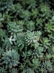 lt;divgt;A Second Ma