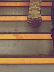 The Return of the Go The Return of the Go