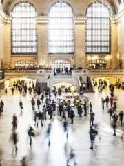 The Imperial Concubi