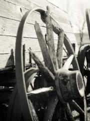 lt;lt;lt;Lin Feng Li