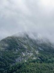 Lu Zongapos;s Hidden