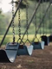 Lin Feng Lin Yun Yao