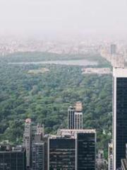 Lu Wanwan Li Jingche Lu Wanwan Li Jingche